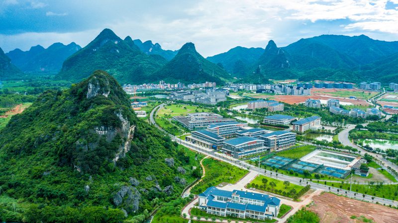 上海二极管批发市场：揭秘行业“心脏”的脉动**