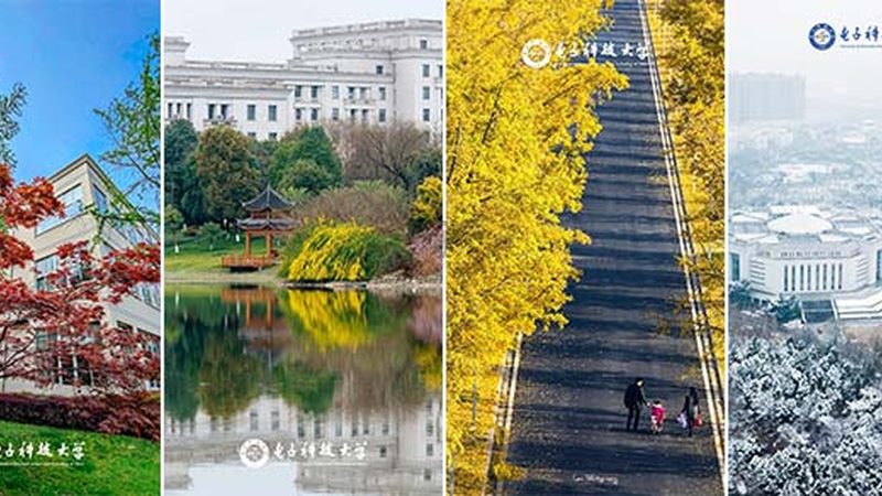 广州电子产品OEM设计：揭秘其核心优势与选型要点**