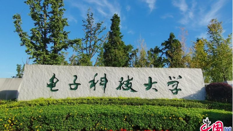 电视机维修中不可或缺的二极管型号解析**